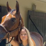 Cómo cuidar un caballo en verano