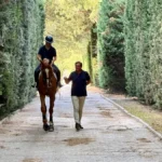 María González y Juan Carrillo: la pasión ecuestre que se convirtió en negocio