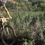 Miguel Muñoz y David González