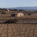 Ventas, flirteos y deserciones: Las familias del cava se van de casa