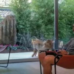 El refugio de Carvajal en su momento más bajo: una mansión de 6 millones y 1.000 metros cuadrados